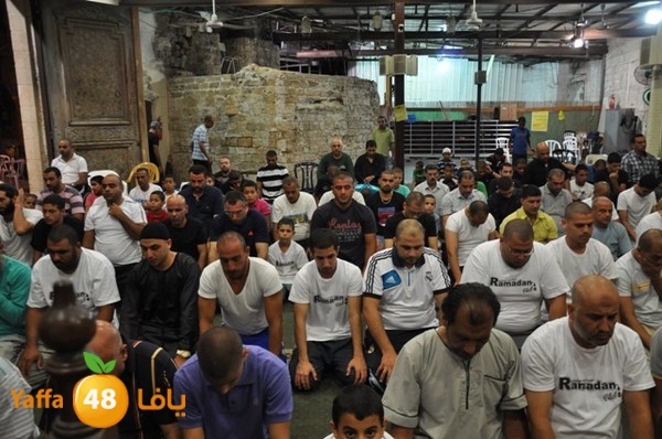 msajed amer qder 804 (46).JPG